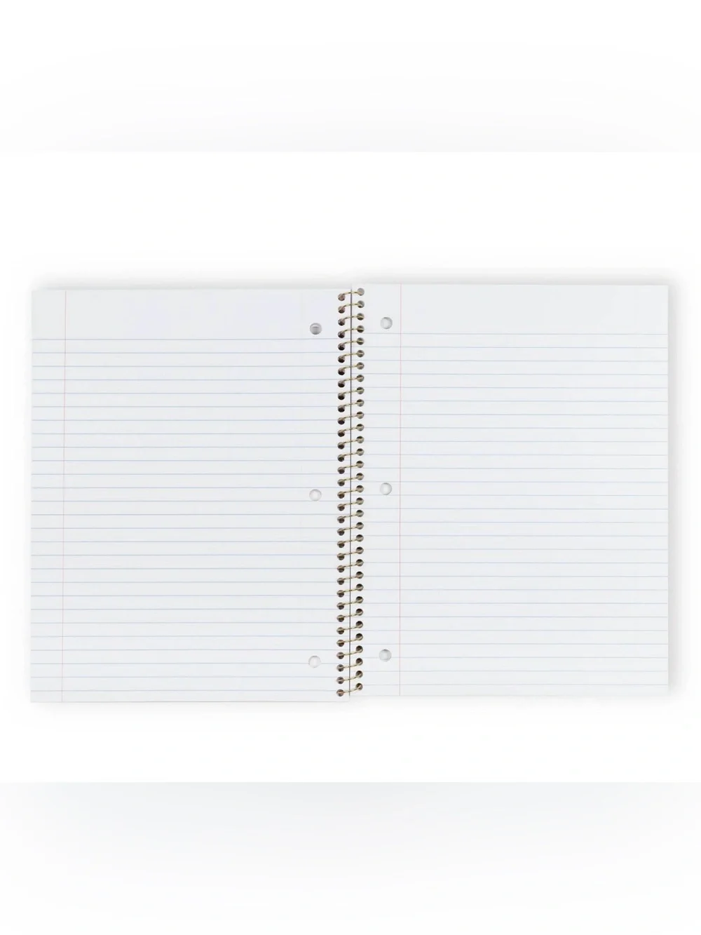 NWT LoveShackFancy x Yoobi Everblooming Rosettes 1 Subject Notebook